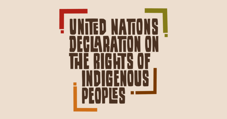 Text graphic featuring the title "United Nations Declaration on the Rights of Indigenous Peoples" in bold, stylized lettering with decorative borders in red, green, and brown.