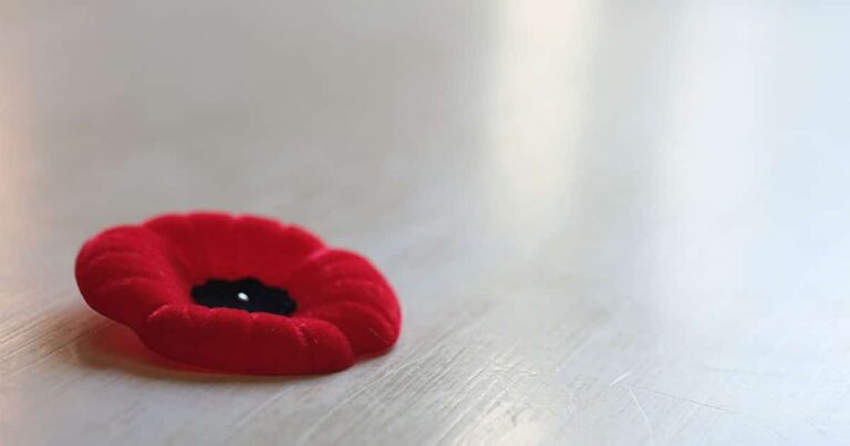 Red poppy flower positioned on a light wooden surface, symbolizing remembrance and honoring fallen soldiers.