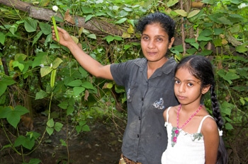 K.H. Chandima Pushpakumari, with daughter, shows the bounty of her organic garden. SIMON CHAMBERS