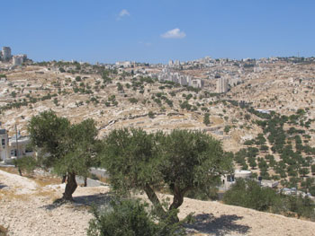 A snapshot of Bethlehem from Andrea Mann’s 2009 partnership trip to the Middle East. ANDREA MANN