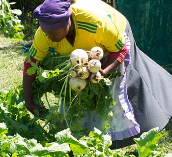 A woman who is HIV positive learns gardening skills at Keiskamma Trust, a South African partner of Anglican agency PWRDF. SIMON CHAMBERS/PWRDF