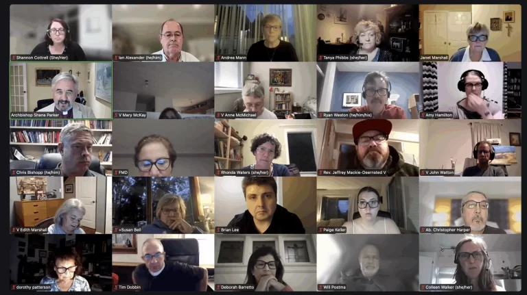 Screenshot of an online video meeting with multiple Anglican Church participants displayed in a grid during a virtual committee meeting
