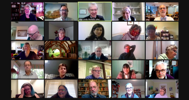 A virtual meeting grid featuring 12 participants in a video call, each displayed in separate boxes. The individuals appear engaged, with a mix of smiling and thoughtful expressions, and various backgrounds visible, including bookshelves and artwork.