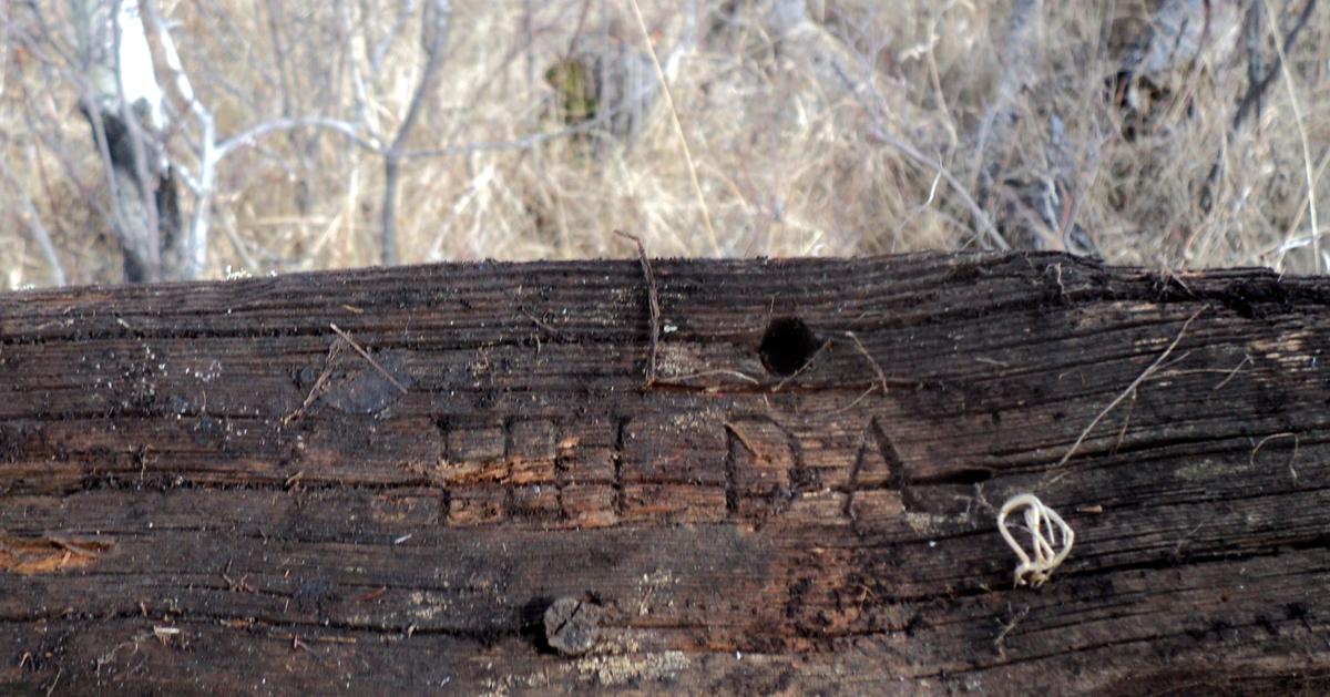 Close-up of a weathered wooden beam featuring the carved name "Hilda," surrounded by dry grass in the background.