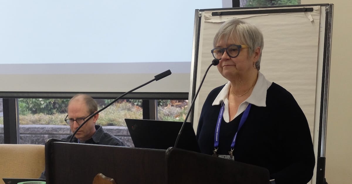 Woman speaking at a podium during a meeting while another person sits at a laptop in the background near a presentation screen