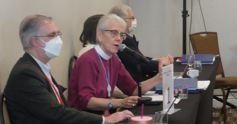 A woman in a clerical collar speaks into a microphone during a meeting, with other attendees visible in the background.