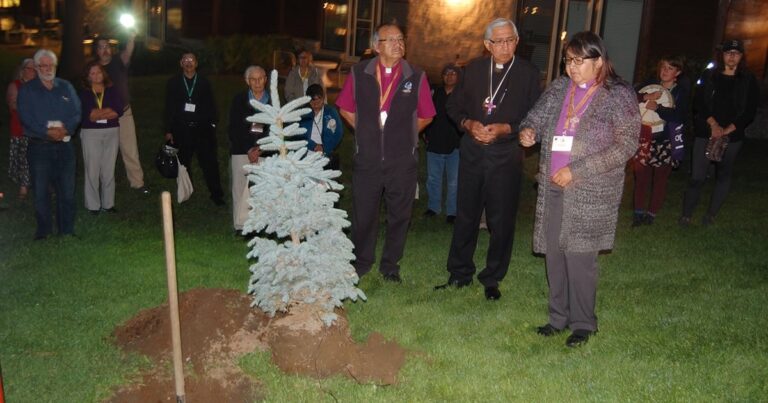 Participants at a ceremonial tree planting event stand around a newly planted blue spruce tree, engaged in a moment of reflection.