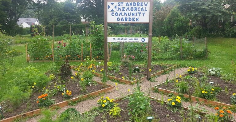 The pollination garden at St. Andrew Memorial Anglican Church in London