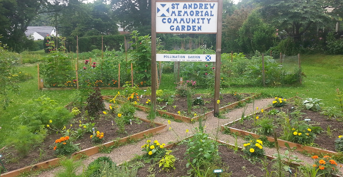 The pollination garden at St. Andrew Memorial Anglican Church in London, Ont., was planted in the shape of the St. Andrew’s Cross. Submitted photo