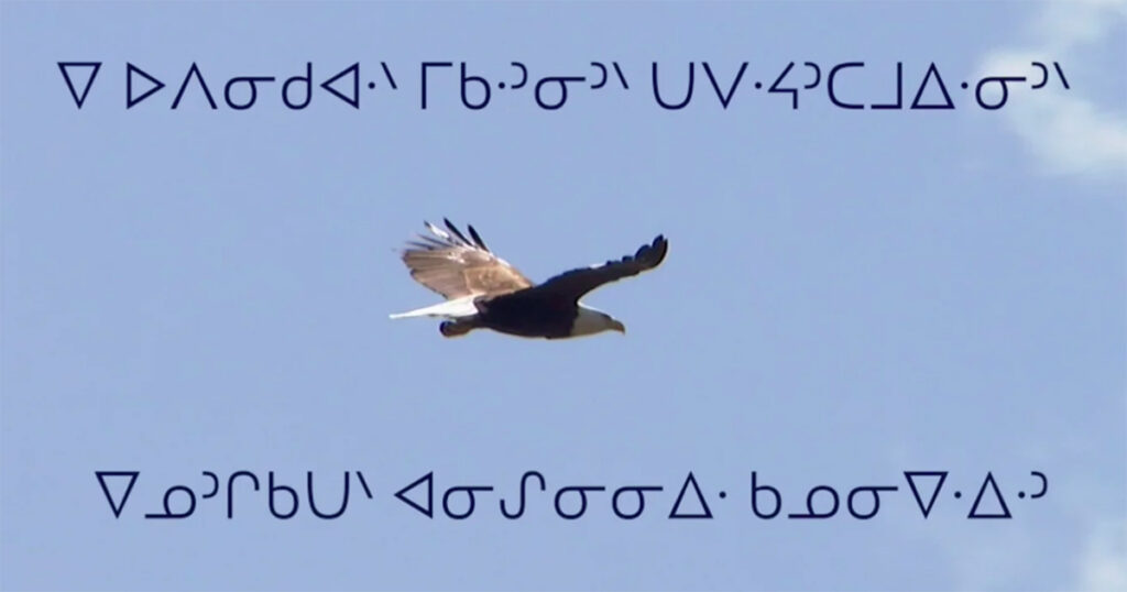 A soaring eagle against a clear blue sky, showcasing its wings in flight, with text in an indigenous script overlaying the image.