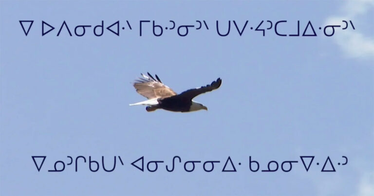 A soaring eagle against a clear blue sky, showcasing its wings in flight, with text in an indigenous script overlaying the image.