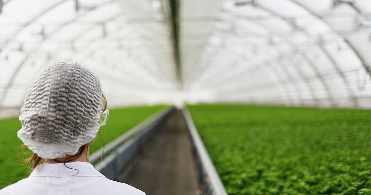 Woman in protective gear standing in a greenhouse