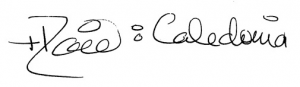 [Bishop David of Caledonia's signature]