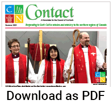 Download as PDF