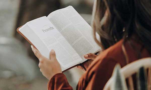 Person wearing a rust-colored shirt reading an open Bible, focused on the Book of Proverbs. The scene is softly lit, with the reader viewed from behind in a calm, contemplative setting.