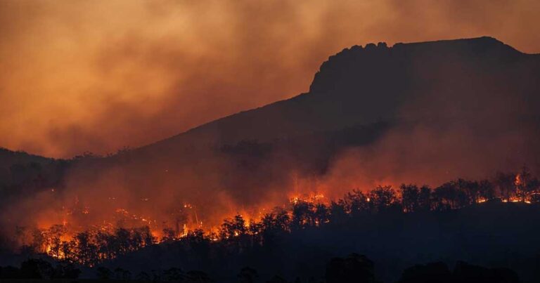 A wildfire burning through a forested area at dusk, with flames visible along the treetops and smoke rising into the sky.
