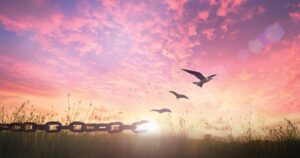 Broken chain lying in tall grass at sunrise with birds flying upward into a pink and orange sky, symbolizing release and freedom.
