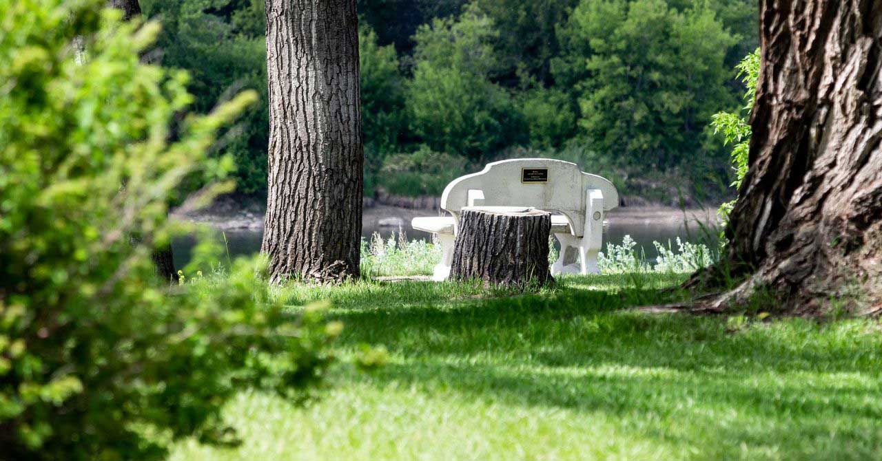 Green field with trees and a stone bench