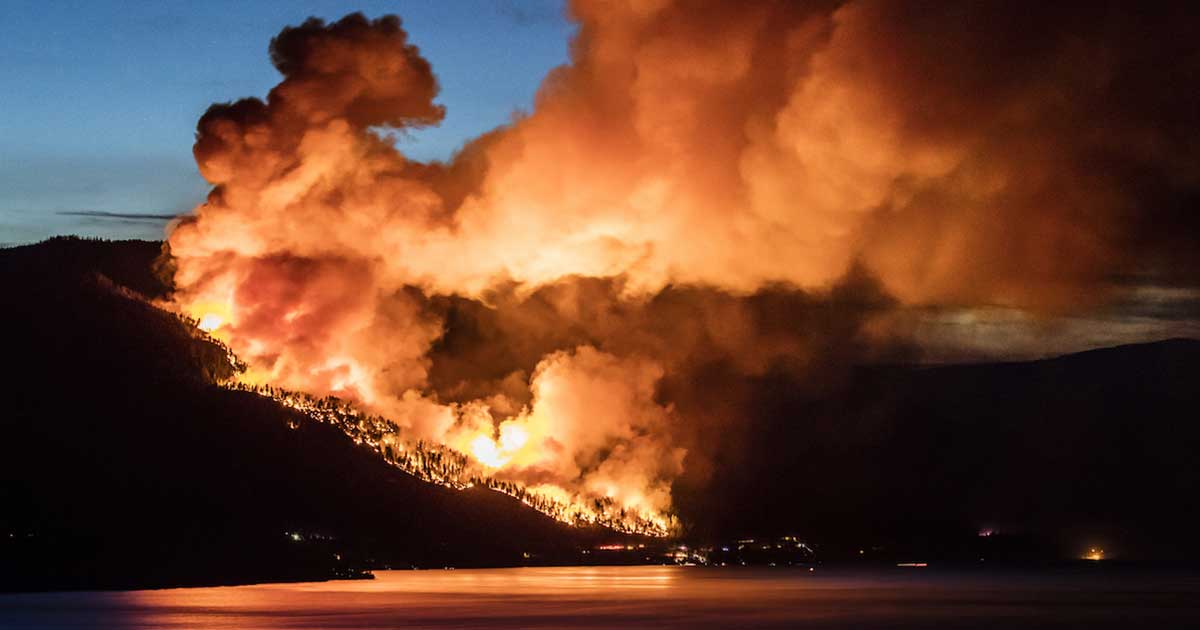 Fire rages on a mountainside in British Columbia, where at least 560 wildfires were reported to tear through Northern B.C. Photo: Shawn Talbot/Sutterstock