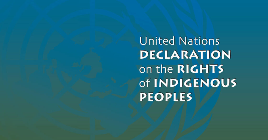Cover of the United Nations Declaration on the Rights of Indigenous Peoples, featuring a blue gradient background with text highlighting the title.