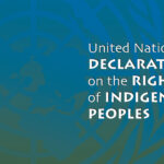 Cover of the United Nations Declaration on the Rights of Indigenous Peoples, featuring a blue gradient background with text highlighting the title.