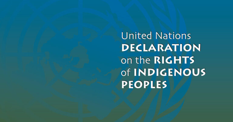 Cover of the United Nations Declaration on the Rights of Indigenous Peoples, featuring a blue gradient background with text highlighting the title.